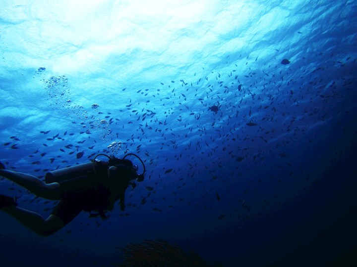 Diving Bonaire